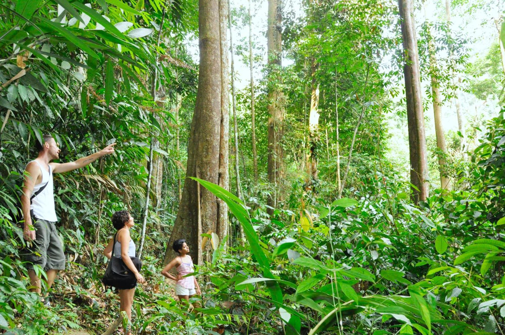 The Dusun Villa เซเรมบัน ภายนอก รูปภาพ