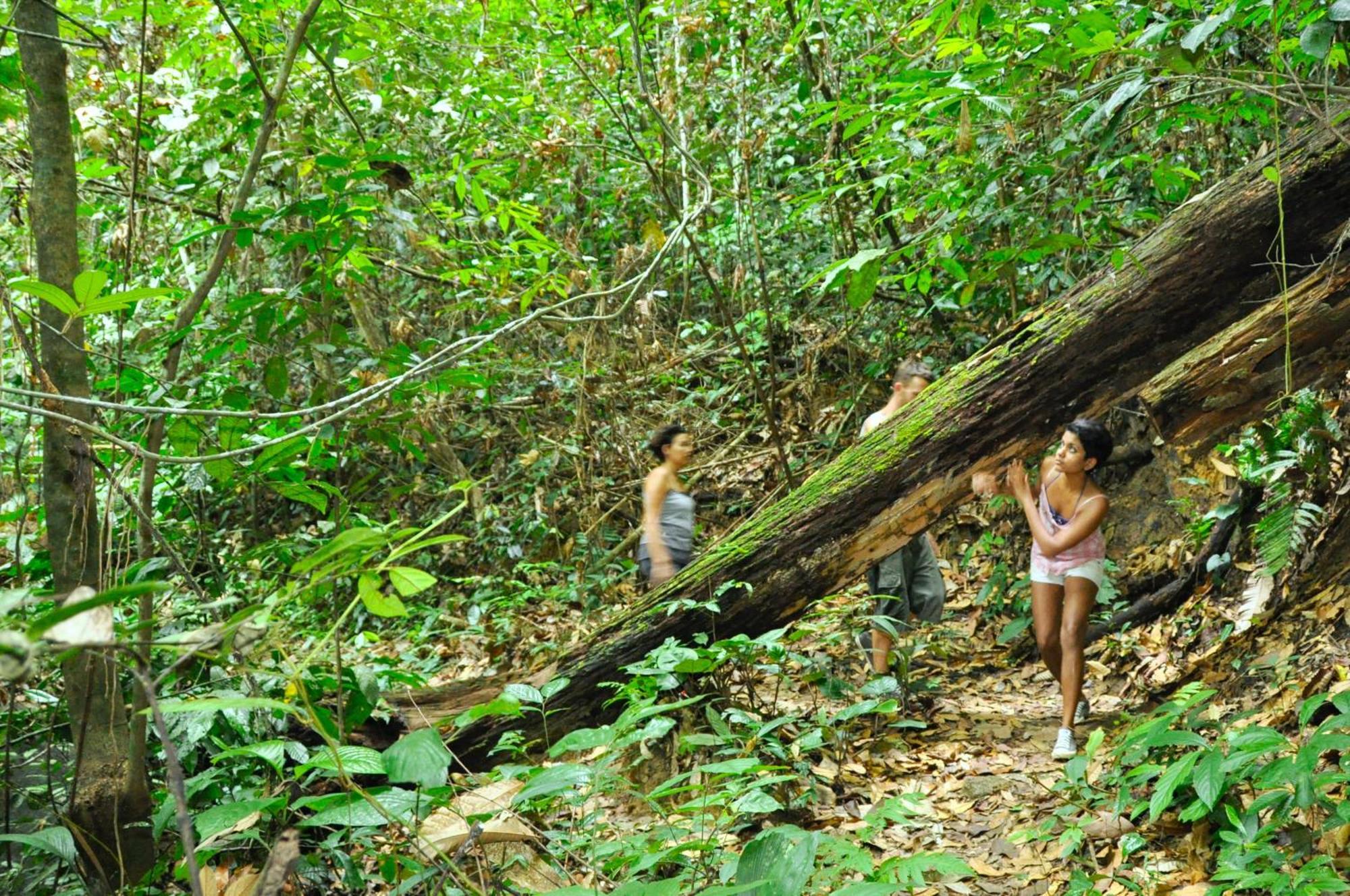 The Dusun Villa เซเรมบัน ภายนอก รูปภาพ